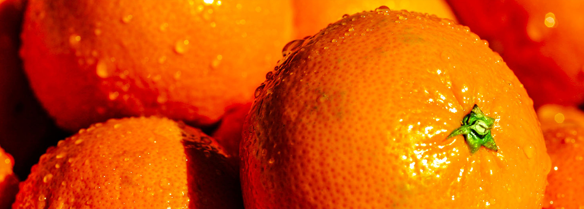 无限短信网页在线轰炸