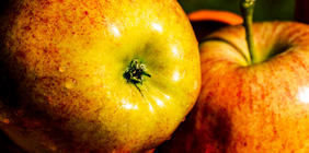 轰炸手机号码软件